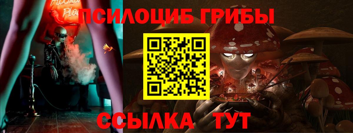 Лениногорск  Галлюциногенные грибы GOLDEN TEACHER  Псилоцибиновые грибы мухоморы  Вход с VPN 